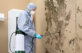 Best Mold Remediation for Healthcare Facilities  in Warrenvle, IL